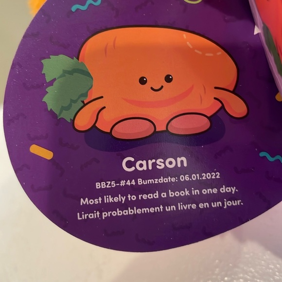NWT 4.5” Carson the Carrot 🥕 SpringBumz Bumbumz by Russ - Picture 4 of 4